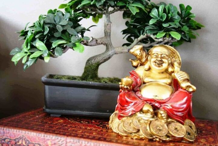 Onnea ja vaurautta kotona Feng Shuin mukaan