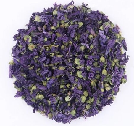 Kuivatut violetit kukat